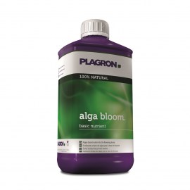 plagron alga bloom_greentown42